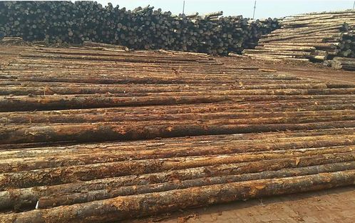 贸易战开启后,中国木材产品可能开始涌入越南