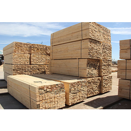 武林木材加工厂(图)-辐射松建筑木方加工厂-辐射松建筑木方