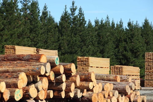 澳洲在华市场被 瓜分 ,加拿大木材成为亮点