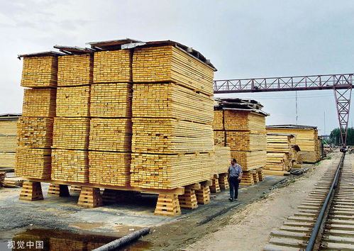 日本对俄实施制裁后 俄木材在日价格达史上最高水平